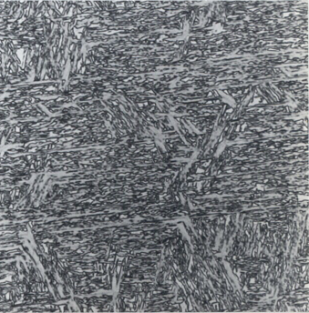 A microstructure of martensite