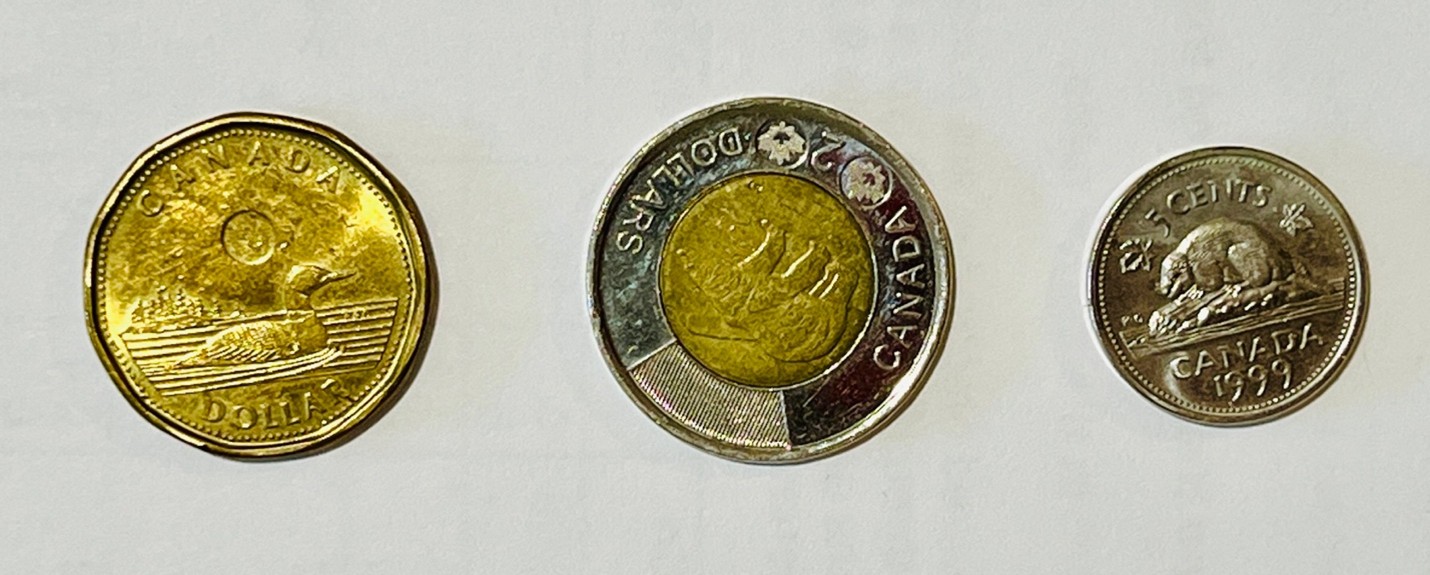 Canada’s World Famous Loone and Toonie together with the original Nickel