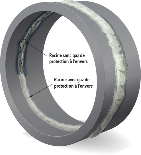 Illustration « avec et sans gaz coté racine