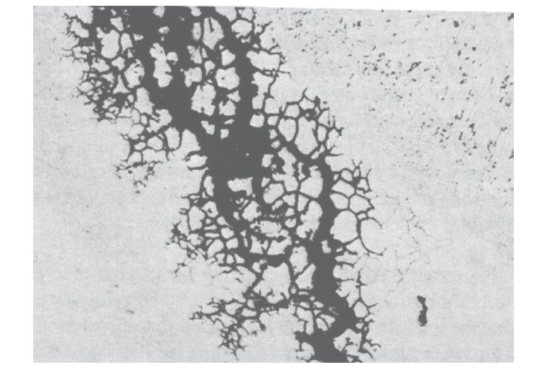 Accelerated Corrosion Attack in the HAS of a Austenitic Stainless Steel that has been “Sensitized”.