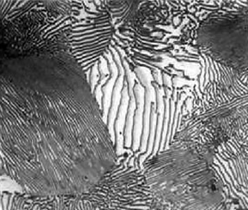 Micro view of pearlite